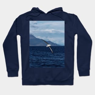 albatros wandering the ocean Hoodie